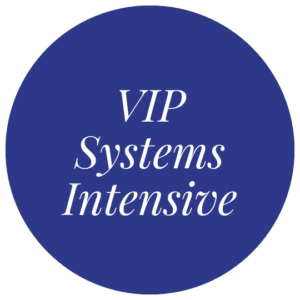 VIP Systems Intensive_Seasonal Navigation